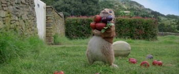 Peter Rabbit screenshot 3