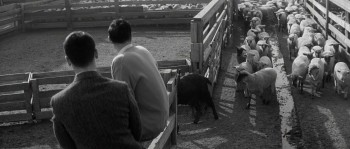 Compulsion screenshot 1