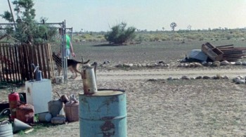 The Hills Have Eyes screenshot 1