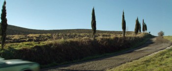 The Music of Silence screenshot 2