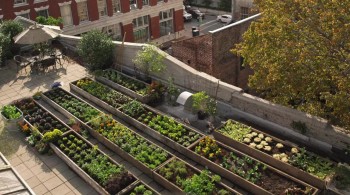 Mysteries of the Unseen World screenshot 1