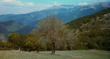 Life Is Beautiful screenshot 3