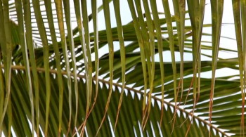 Under Our Skin 2: Emergence screenshot 1