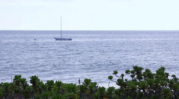 Under Our Skin 2: Emergence screenshot 2