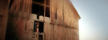 Shortwave screenshot 3