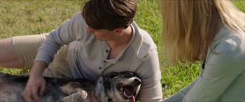 Alex & The List screenshot 3