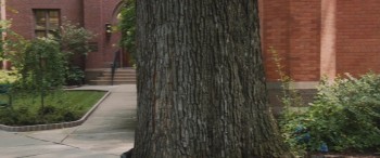 The Con Is On screenshot 1