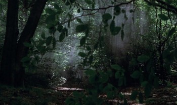 Monty Python and the Holy Grail screenshot 1