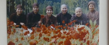 Walk with Me screenshot 3