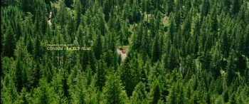 Minuscule: Valley of the Lost Ants screenshot 1