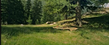 Minuscule: Valley of the Lost Ants screenshot 3