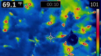 Island Zero screenshot 2