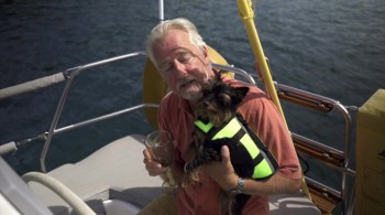 Island Zero screenshot 3