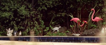 That's Not Me screenshot 1