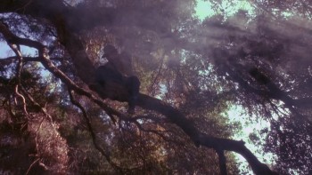 3 Ninjas screenshot 1
