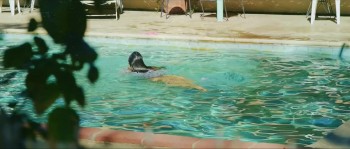 Nowhereland screenshot 2