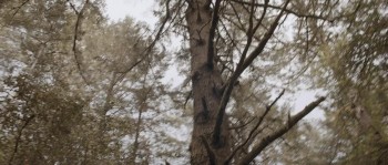 Lane 1974 screenshot 1