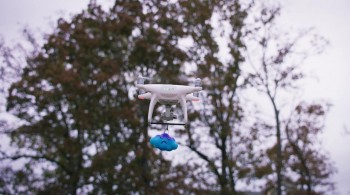 Daphne & Velma screenshot 2