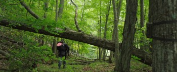 They Remain screenshot 1