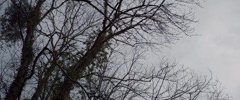 Mary Shelley screenshot 1