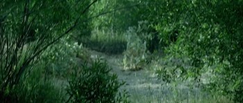 Dragon Hunter screenshot 3