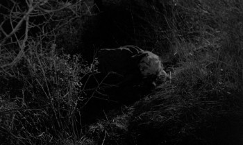 The Vampire and the Ballerina screenshot 2