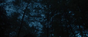 Every Day screenshot 2