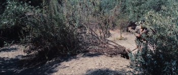 The True Story of Jesse James screenshot 2