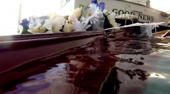 Sharktopus vs. Whalewolf screenshot 2