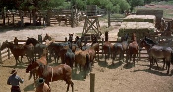 The Tall T screenshot 3