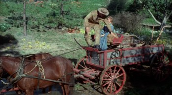 Seven Brides for Seven Brothers screenshot 1