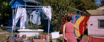 Social Animals screenshot 1