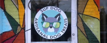 Social Animals screenshot 3