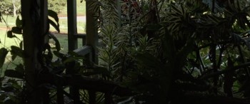 Out of the Shadows screenshot 2