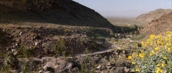 The Wild Angels screenshot 1