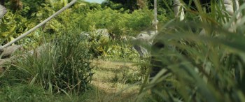 Rampage screenshot 2