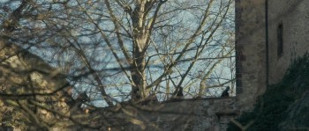 The Countess screenshot 1