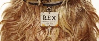 Isle of Dogs screenshot 3