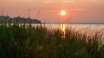 Lake Placid vs. Anaconda screenshot 3