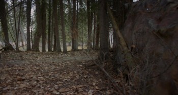 The Northlander screenshot 2