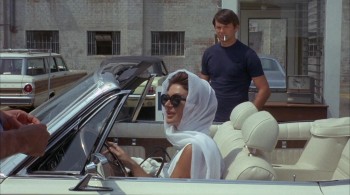 Model Shop screenshot 2