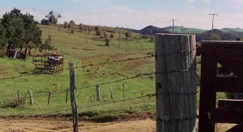 Sleeping Dogs screenshot 2