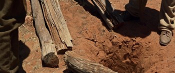 Sweet Country screenshot 1