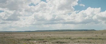 Woman Walks Ahead screenshot 2