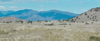 Woman Walks Ahead screenshot 3