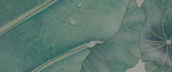 The Miracles of the Namiya General Store screenshot 1