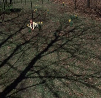 Season of the Witch screenshot 3