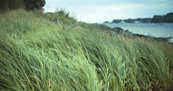 The Bookshop screenshot 1