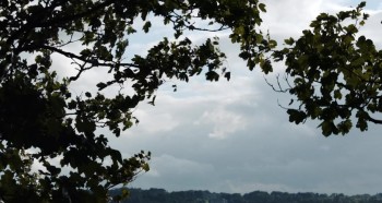 The Bookshop screenshot 2