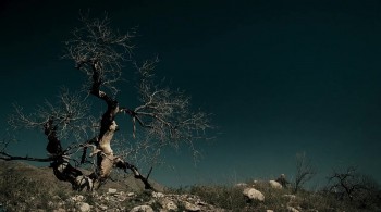 The Dead Girl screenshot 1